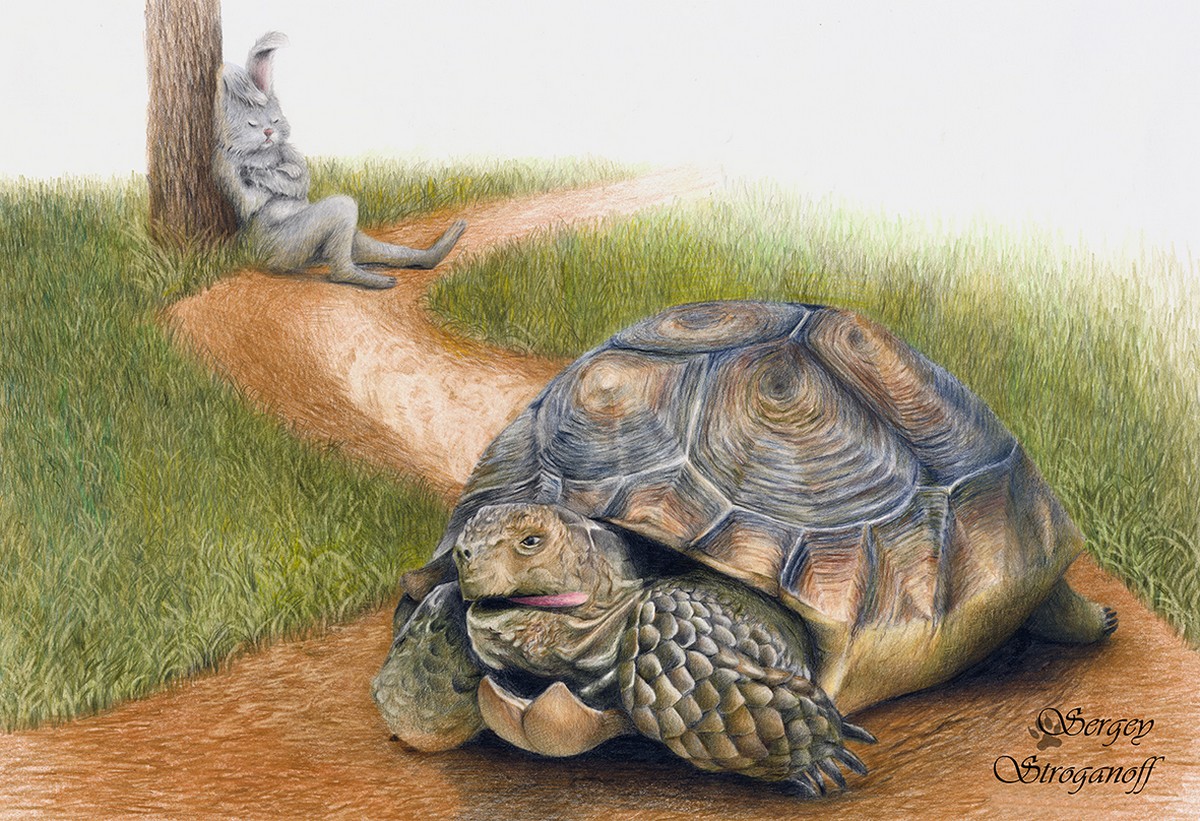 Читай про черепаху. Сказочная черепаха. Заяц и черепаха. Черепаха картины художников. Черепахи в живописи художников.